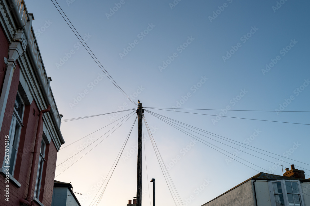 Abstract view of telephone wires connecting to a single wooden telegraph pole with a large bird sitting on the top in early sunset. Abstract view of telephone wires connecting to a single wooden telegraph pole with a large bird sitting on the top in early sunset.