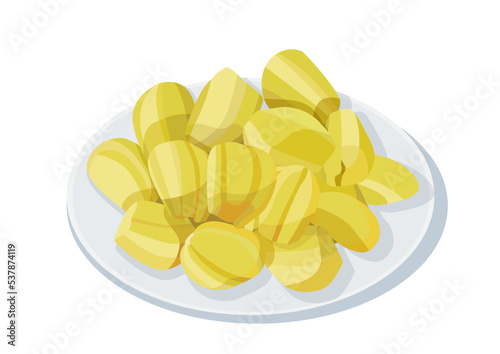 jackfruit fruit isolated in the plate on white background illustration vector 