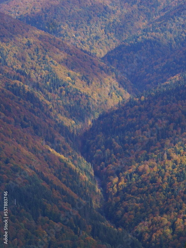 View from the mountain - Bugegi mountains, Carpathian mountains, Sinaia, Prahova, Romania