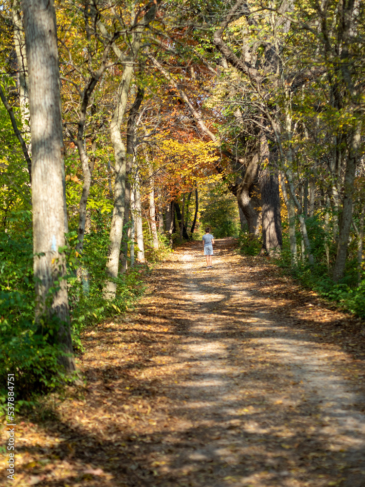 Obraz premium Autumn footpath