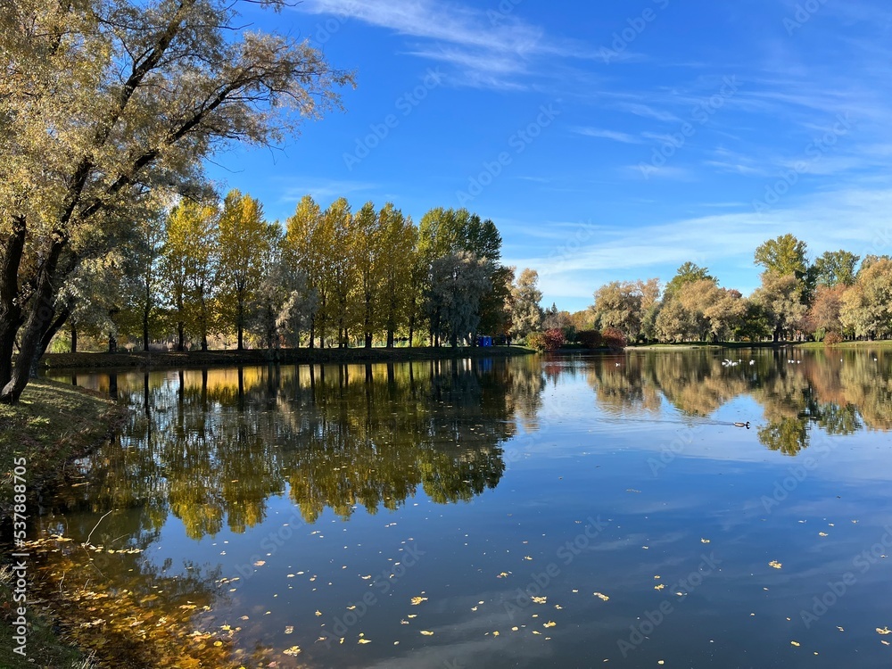Autumn trees silhouettes reflection on the surface of the lake, blue sky Autumn trees silhouettes reflection on the surface of the lake, blue sky