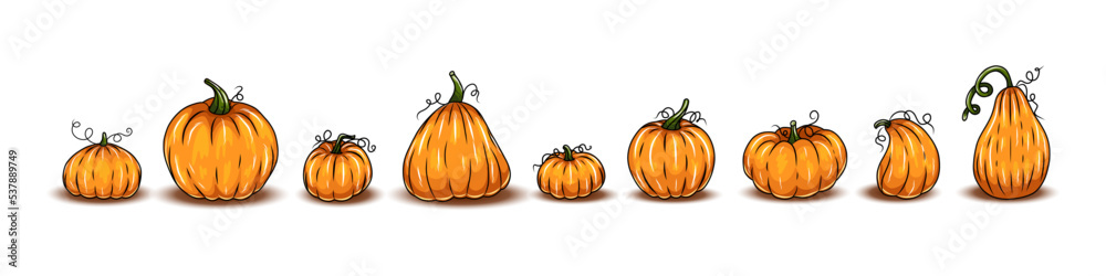 Obraz premium Set of pumpkins, different types of Cartoon pumpkins. halloween, fall harvest gourds. Pumpkins, squash and leaves vector symbols illustrations. Autumn thanksgiving and halloween pumpkins collection
