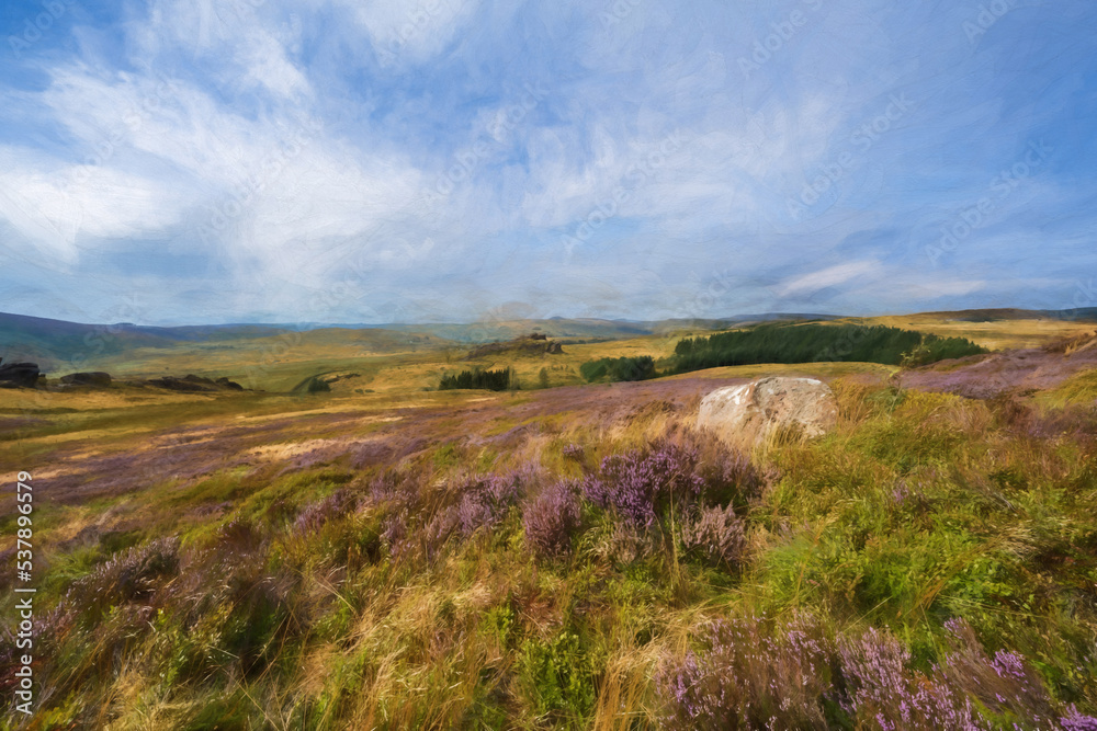 Digital rural landscape painting of Purple heather at Gib Torr, The Roaches, Peak District National Park.