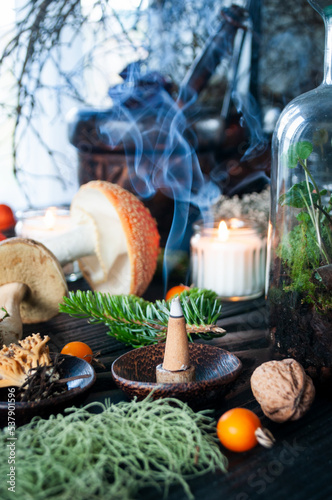 Space with gifferent types of mushrooms, and mortar, and lighted candle on a black table. Esoteric, alternative medicine, aromatherapy or Wicca still life with incense smoke.