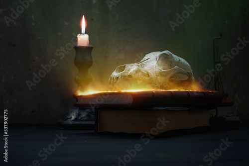 Cuadro en lienzo In the abode of the alchemist and magician