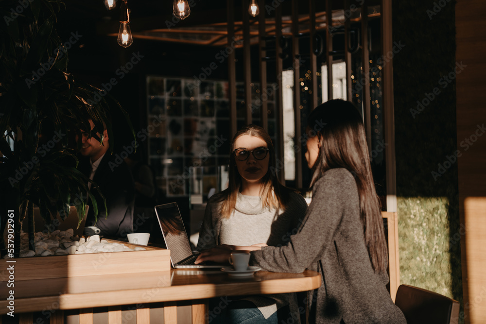 Two young business women sitting at table in cafe. Girl shows colleague information on laptop screen. Girl using smartphone, blogging. Teamwork, business meeting..