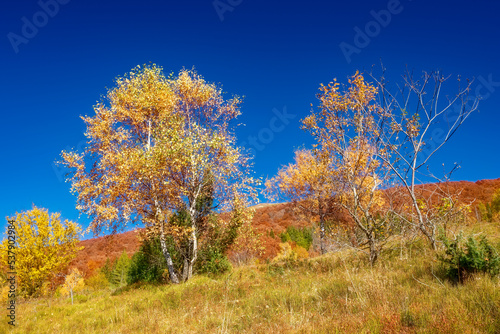 autumn in the mountains