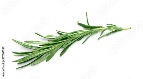 Fotografia Herb parsley mint thyme rosemary isolated leaf