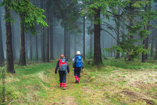 Retired woman and man with backpacks hiking in autumn forest  © Natalia