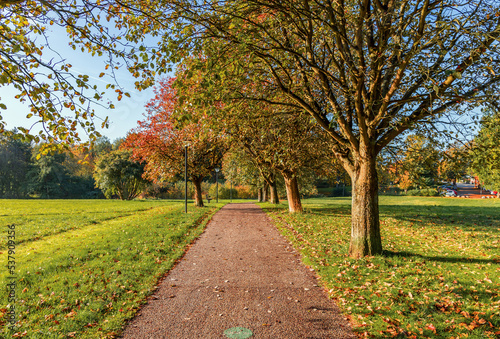 Beautiful autumn landscape. Path in the park with autumn trees on a sunny day.