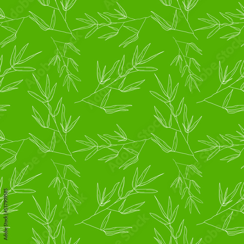Seamless pattern leaf bamboo. Bamboo seamless pattern on green background in linear style. vector eps10