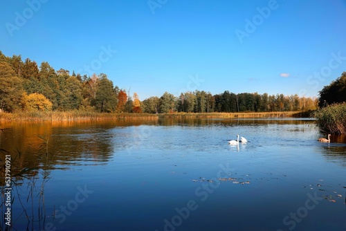 Fototapeta Naklejka Na Ścianę i Meble -  Jezioro jesienią. Warmia i Mazury. Krajobraz