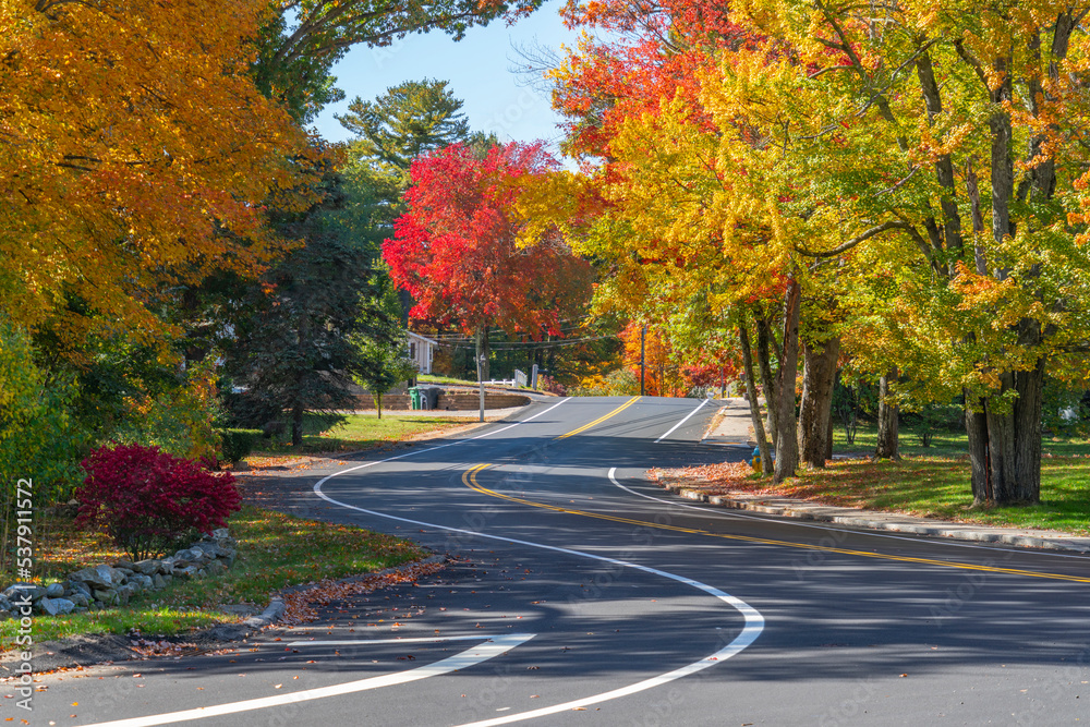 winding road in residential area in autumn season winding road in residential area in autumn season