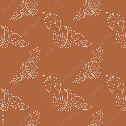 Seamless pattern Macadamia in linear style. Hand drawn Macadamia seamless pattern. vector illustration