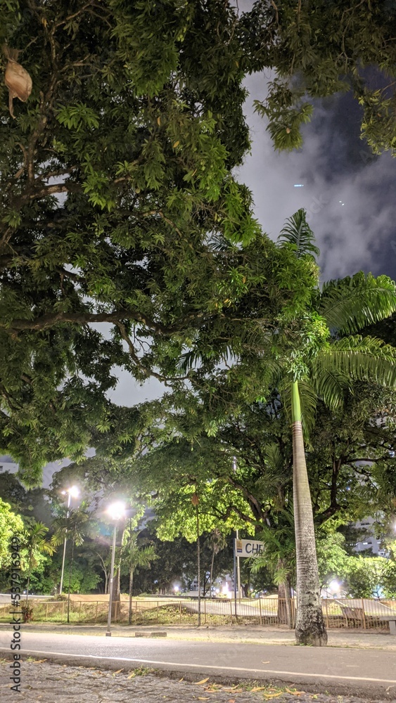 park park