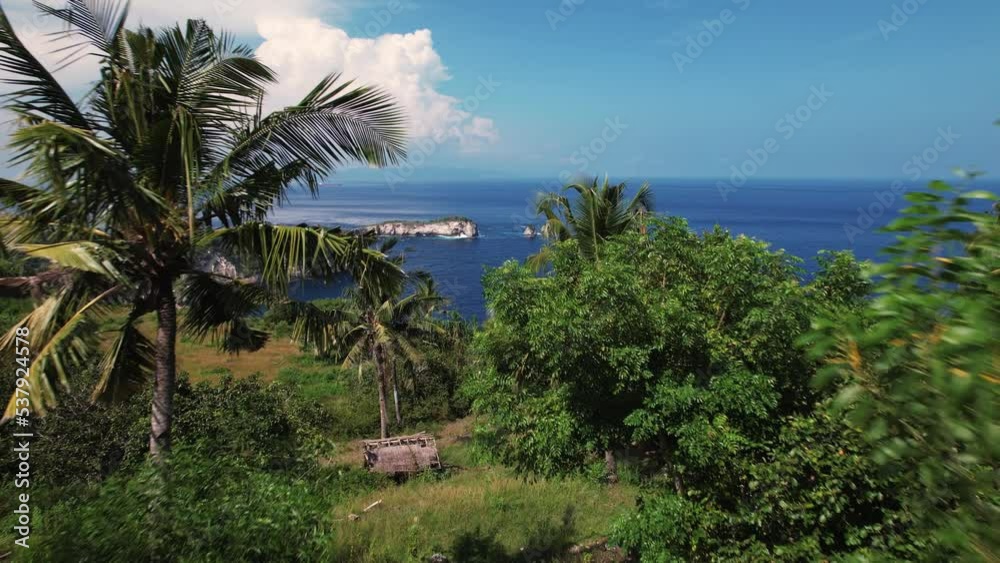 Aerial view, drone fly over island towards the ocean, palms and village on the land, summer vacation concept. Aerial view, drone fly over island towards the ocean, palms and village on the land, summer vacation concept.