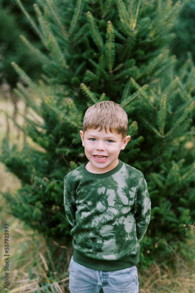 Little boy standing in between christmas trees at a tree farm Little boy standing in between christmas trees at a tree farm