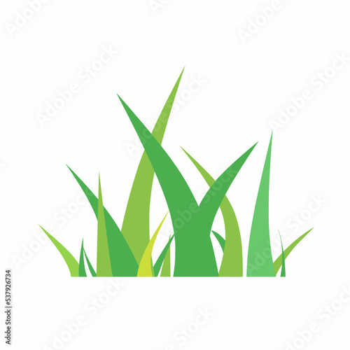 Vector illustration of grass. Green grass vector. Grass illustration template. EPS