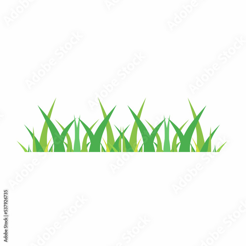 Vector illustration of grass. Green grass vector. Grass illustration template. EPS
