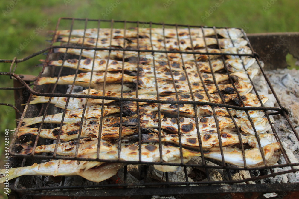 Small bluefish on a charcoal grill. Nice winter cooking idea