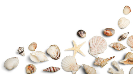 Beach Sand, Starfish, Seashell Corner Border on White Background Hz