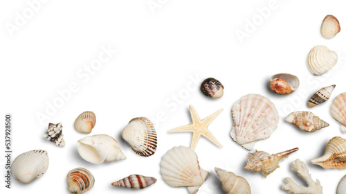 Beach Sand, Starfish, Seashell Corner Border on White Background Hz
