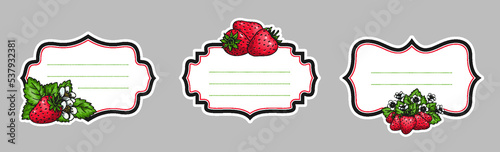 Strawberriy vintage frame set. Ornamental fruit price tag. Retro craft badges. Strawberry jam label with space for text . Eco product handdraw berries cover insignia. Farmers market sale sticker