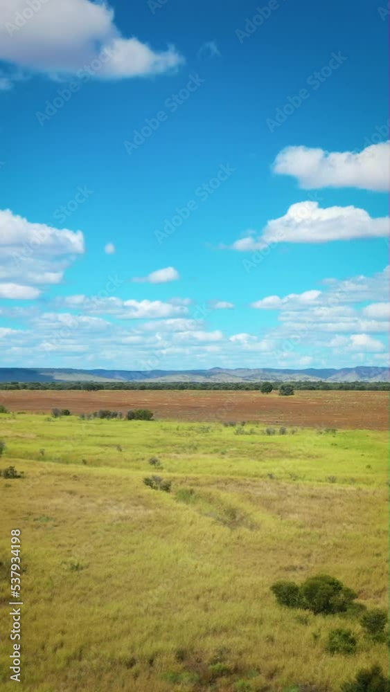 Drone flight over stereotypical green grass, blue sky, white clouds, wide landscape, vertical video Drone flight over stereotypical green grass, blue sky, white clouds, wide landscape, vertical video