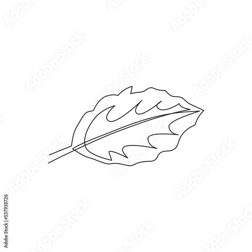 isolated continuous single line leaf vector illustration. Suitable for wall home decor, t-shirt etc