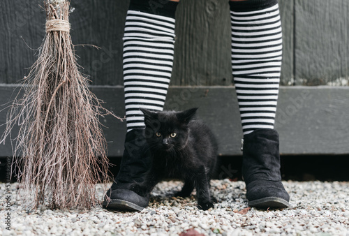 Halloween Kitten photo