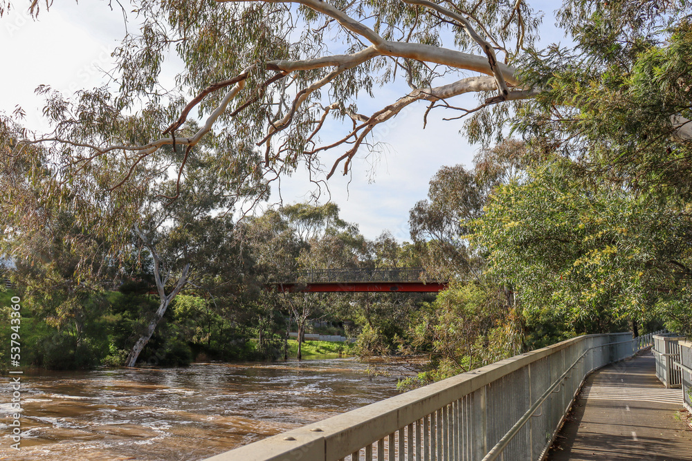 bridge over the river and bushland
