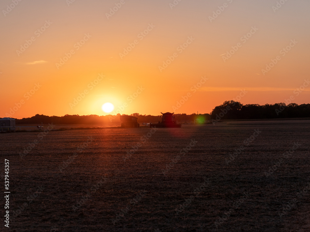 Naklejka premium sunset at harvest