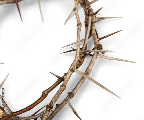 Photos Closeup of a Crown of Thorns