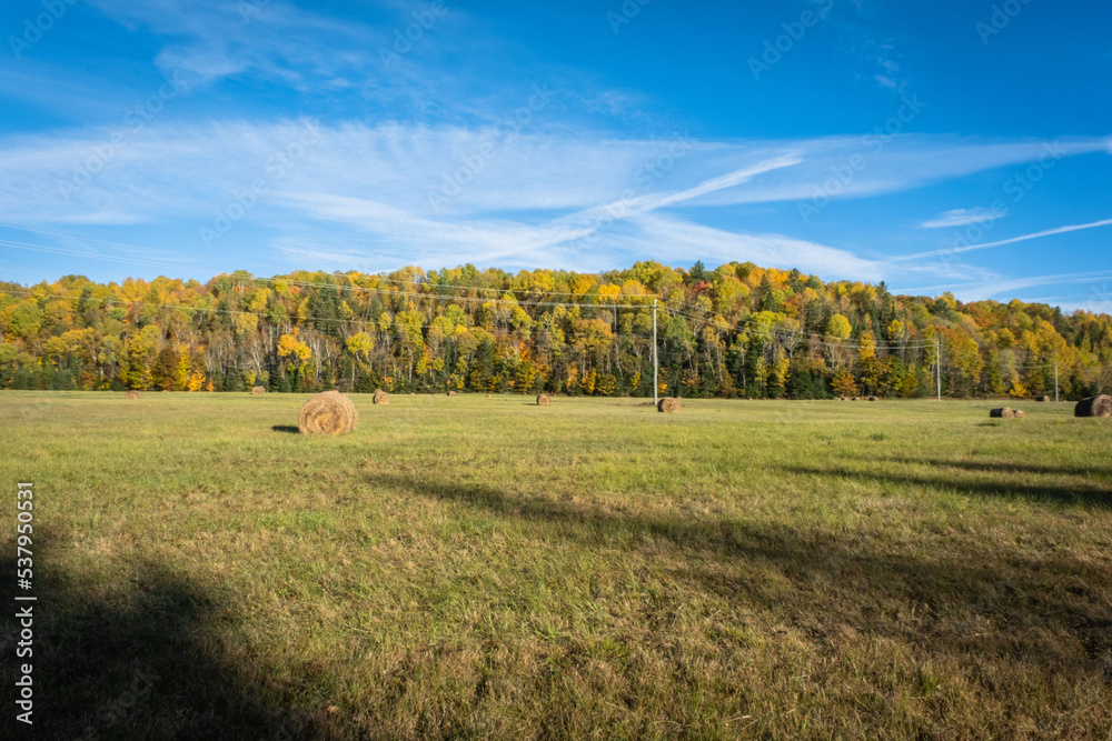 Wide angle Field with Hay bales with fall color trees on horizon