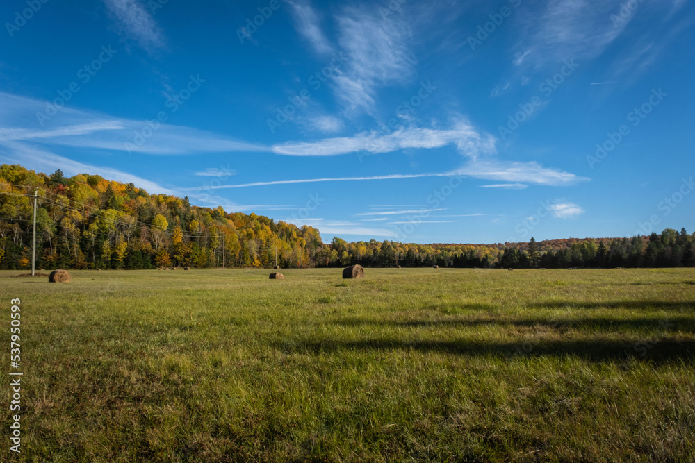 Fototapeta premium Wide angle Field with Hay bales with fall color trees on horizon