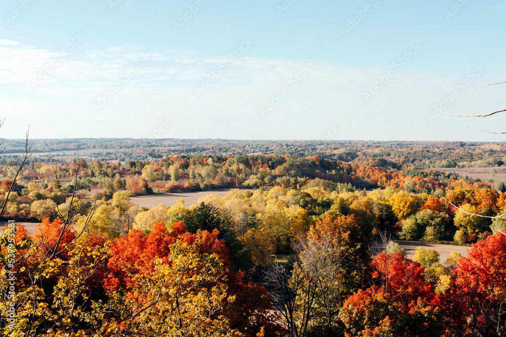 Autumn landscape colorful top view