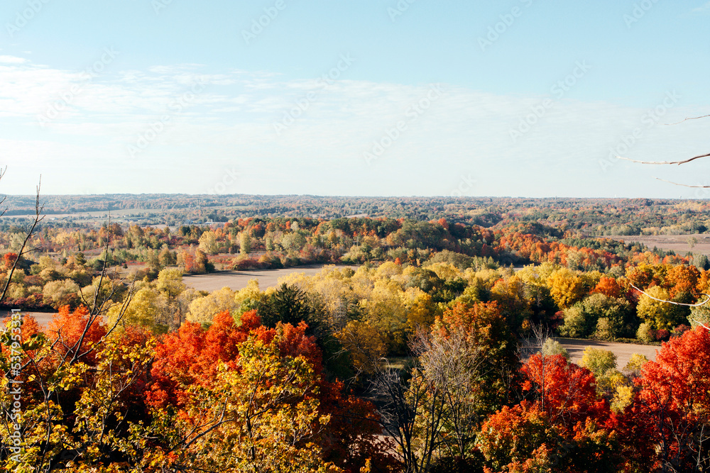 Fototapeta premium Autumn landscape colorful top view