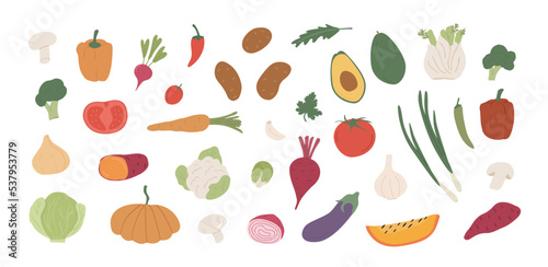 Fototapeta Naklejka Na Ścianę i Meble -  Collection of different vegetables. Bundle of organic natural crops, salads, greens and herbs. Vegan vegetarian healthy diet ingredients. Vector illustration in flat style isolated on white background