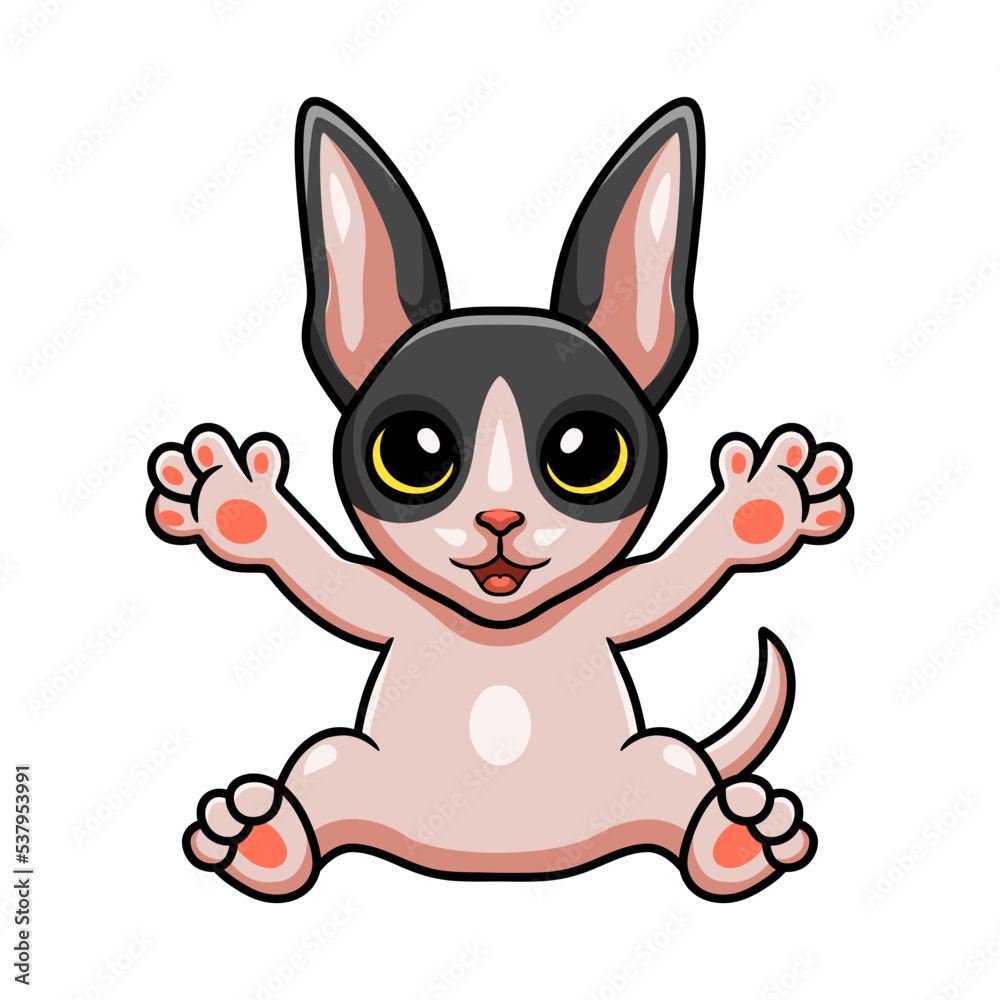 Obraz premium Cute cat cornish rex cartoon