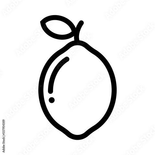 Lemon or lime citrous icon symbol signs for apps and websites with transparent background PNG