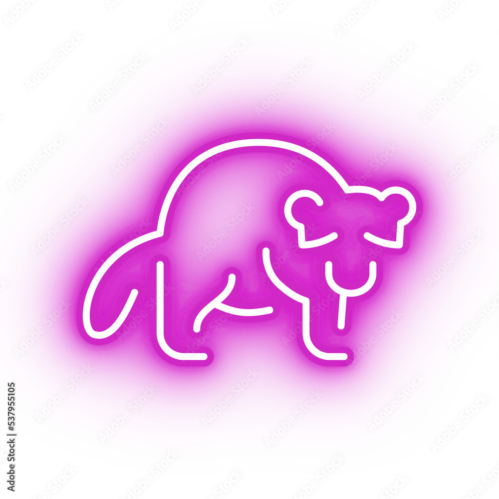 Neon pink raccoon icon, glowing panda icon on transparent background Neon pink raccoon icon, glowing panda icon on transparent background