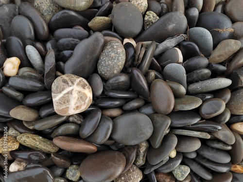 sea pebbles
