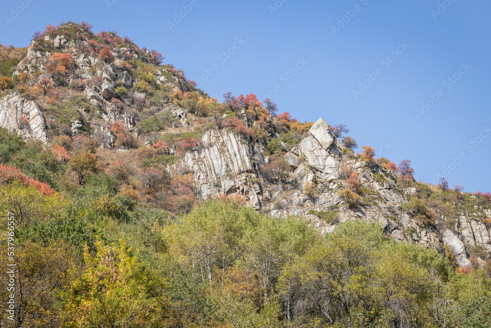 Autumn landscape - blue sky, yellow ground, mountains and hills, green and yellow foliage of the forest trees