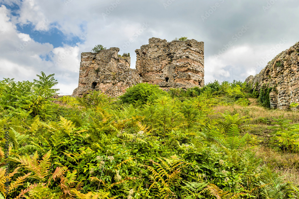 Remains of brick and stone towers