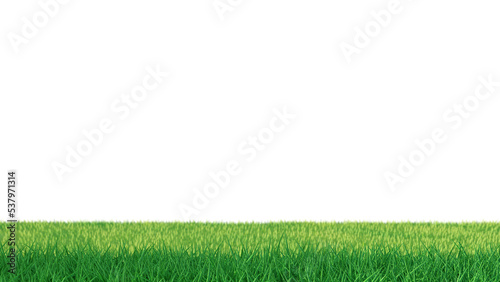 3D Green grass field background