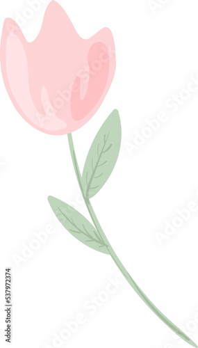illustration Beautiful flower and botanical leaf pattern for love wedding valentines day or arrangement invitation design greeting card