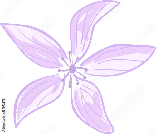 illustration Beautiful flower and botanical leaf pattern for love wedding valentines day or arrangement invitation design greeting card