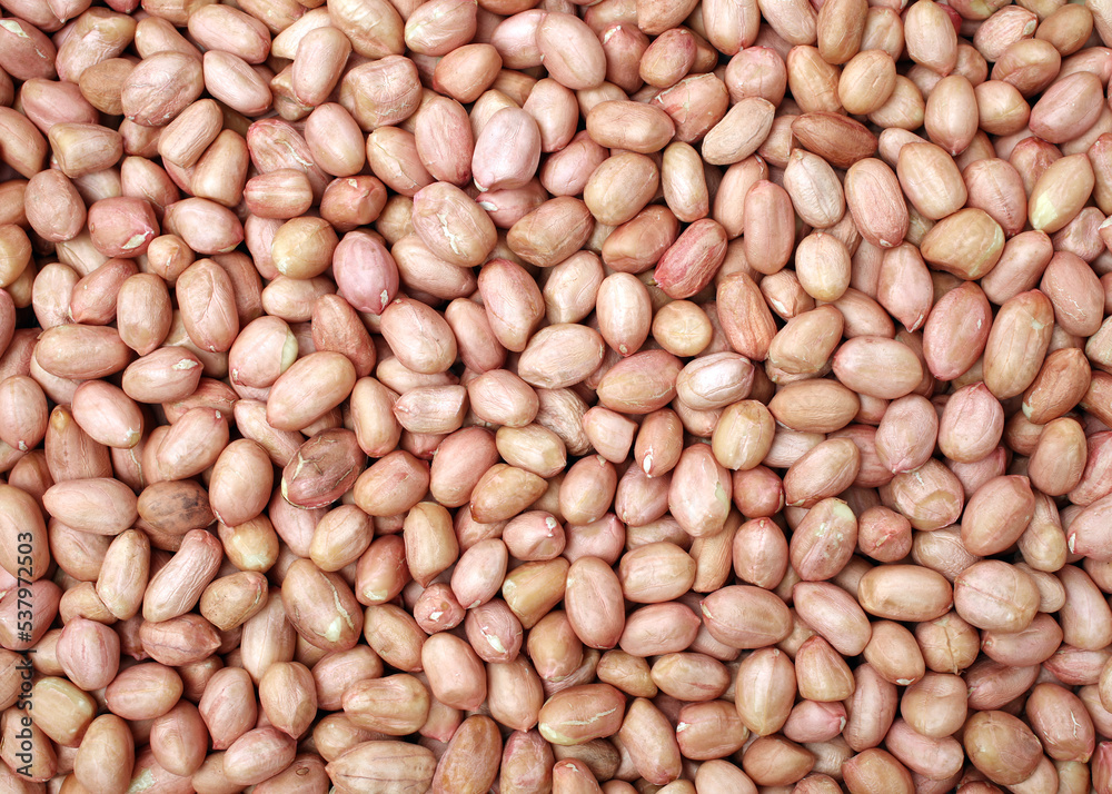 texture of raw Peanuts beans background texture of raw Peanuts beans background