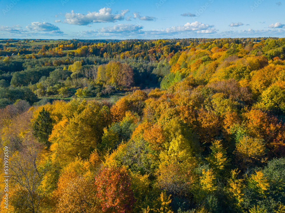 Aerial autumn landscape with colorful maple trees