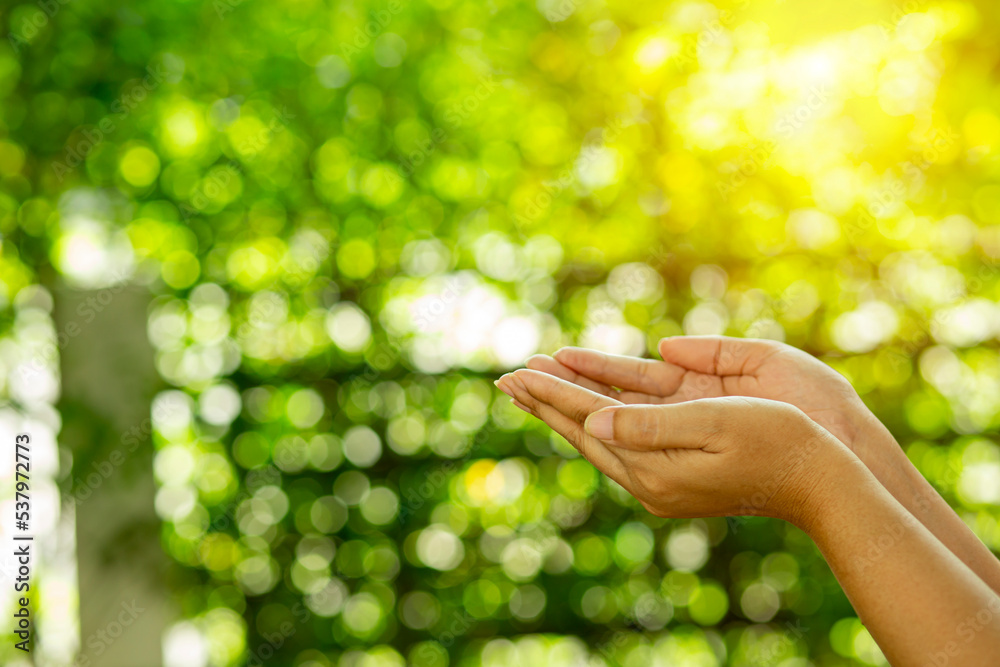 Technology, hand holding with environment Icons over the Network connection on green background. Technology, hand holding with environment Icons over the Network connection on green background.